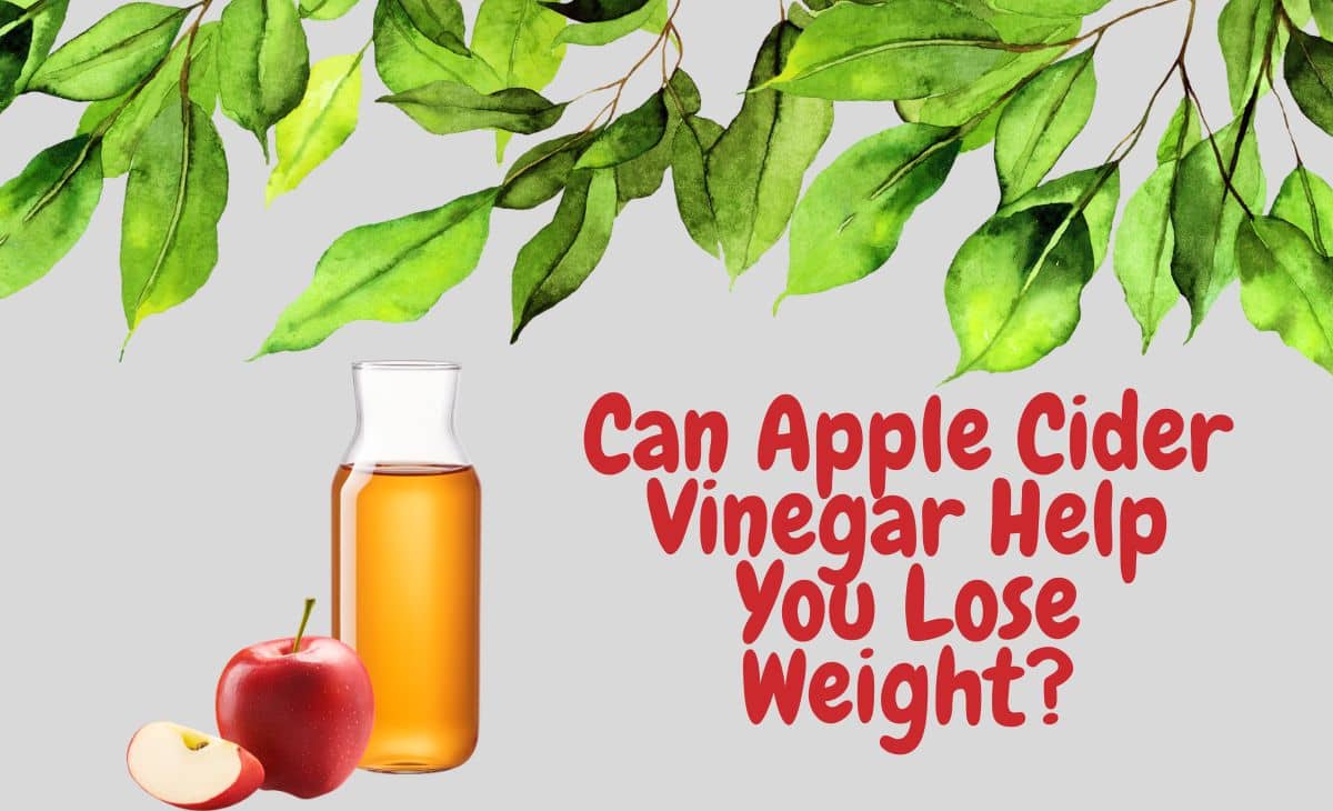 Apple Cider Vinegar for Weight Loss Resurchify