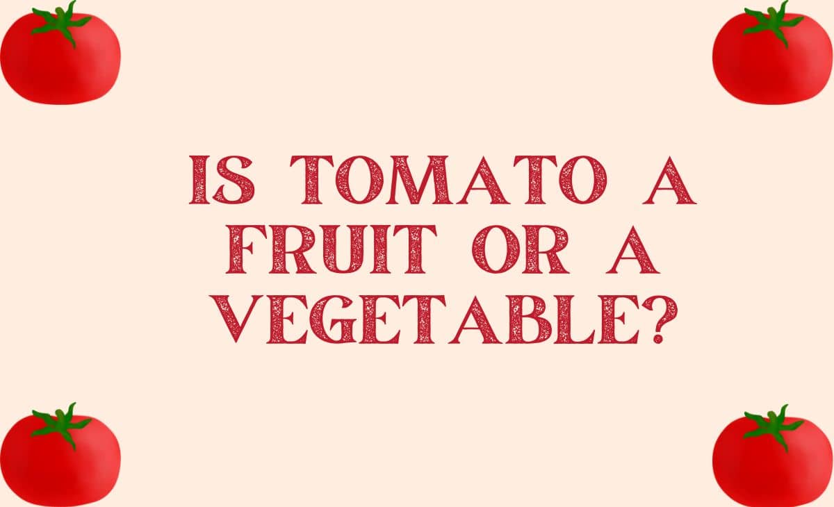 Read best articles at Resurchify