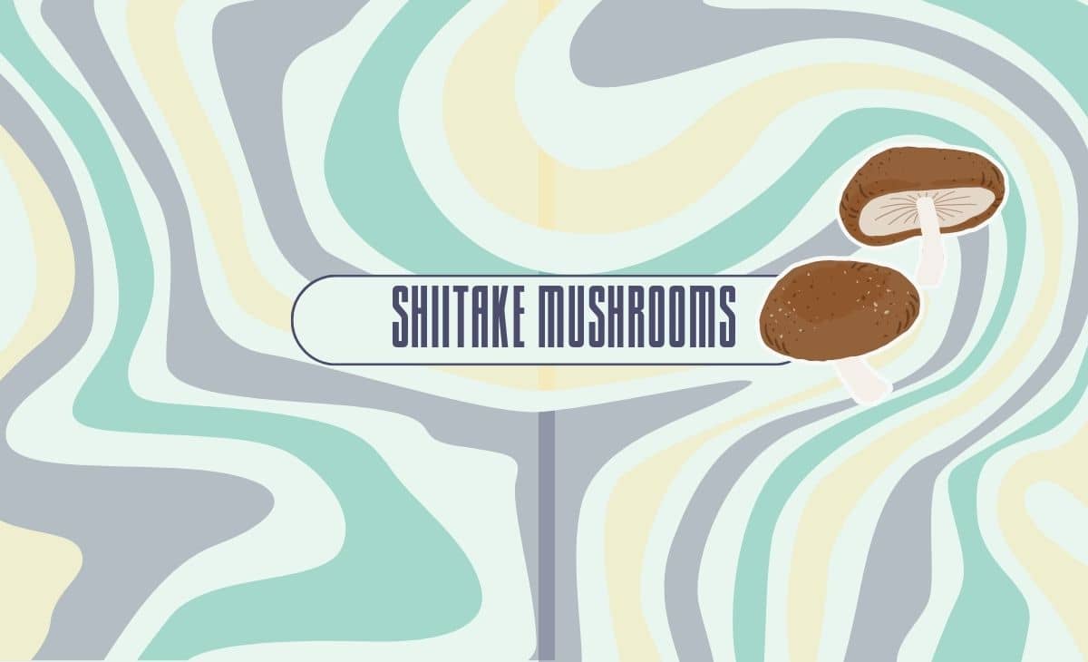 Shiitake Mushrooms: Health Benefits, Nutrition, and Uses
