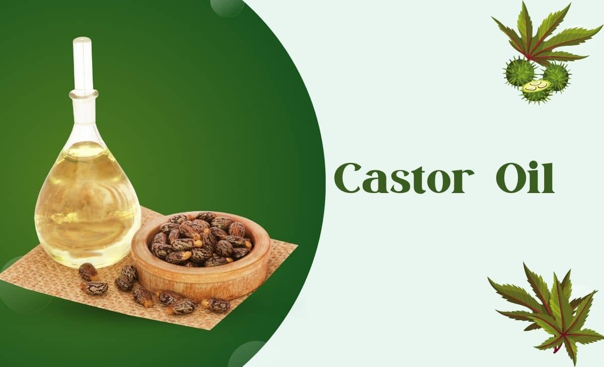 10 Benefits and Uses of Castor Oil Resurchify
