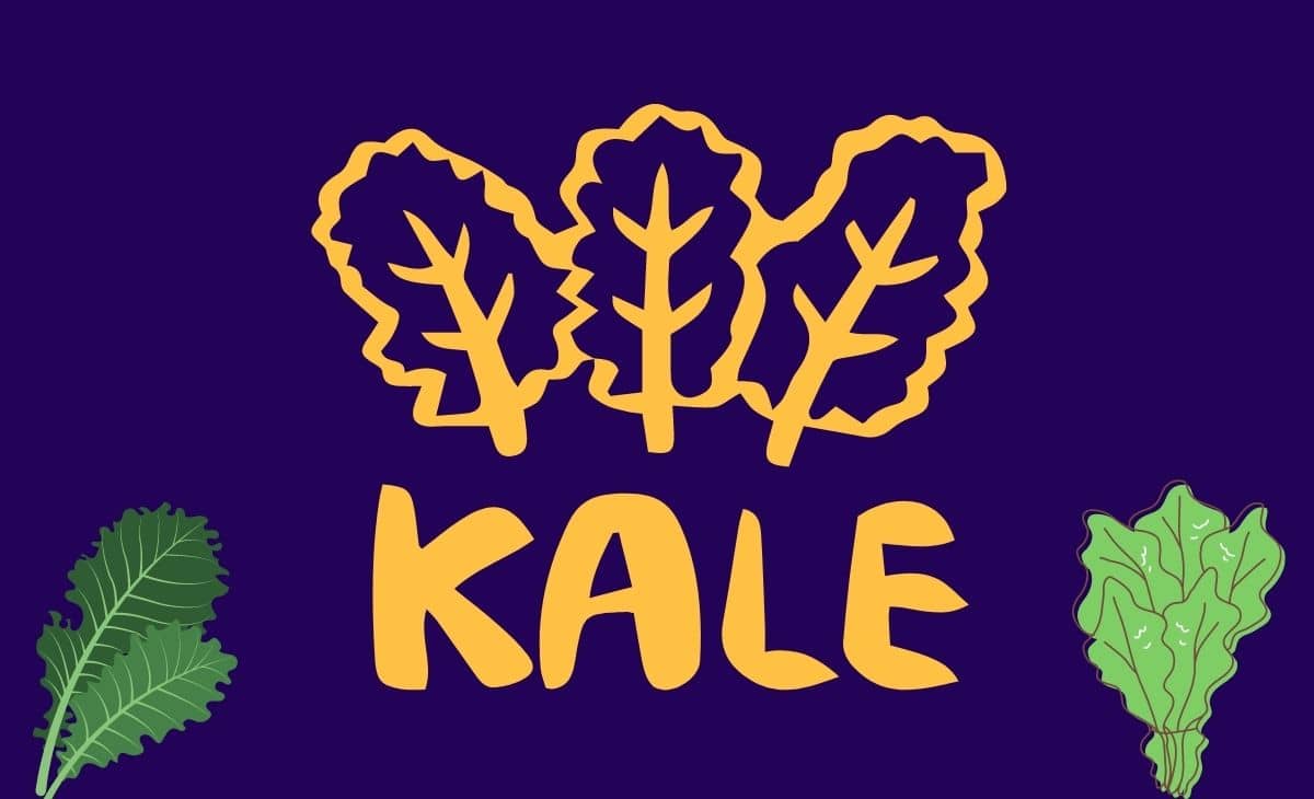 10 Health Benefits of Kale Resurchify