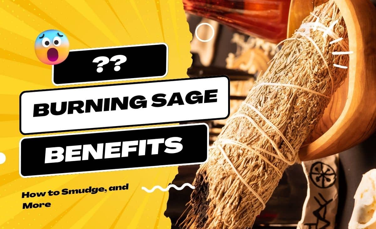 10 Benefits of Burning Sage, How to Smudge, and More Resurchify