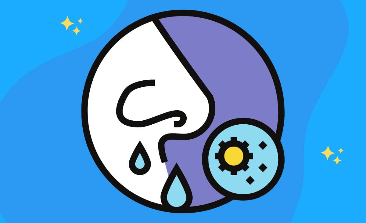 How to Stop a Runny Nose at Home Resurchify