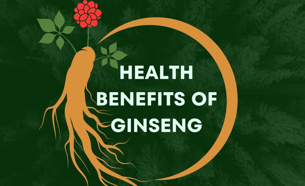 10 Proven Health Benefits of Ginseng Resurchify