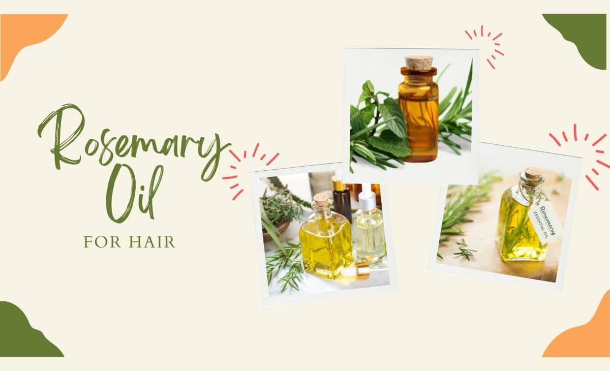 Rosemary Oil for Hair: Growth, Uses, and Benefits