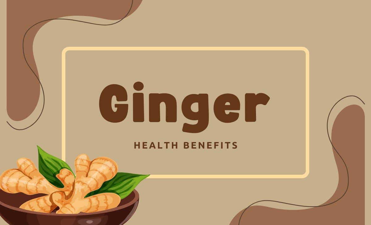 10 Health Benefits of Ginger Effect on Nausea, the Brain & More
