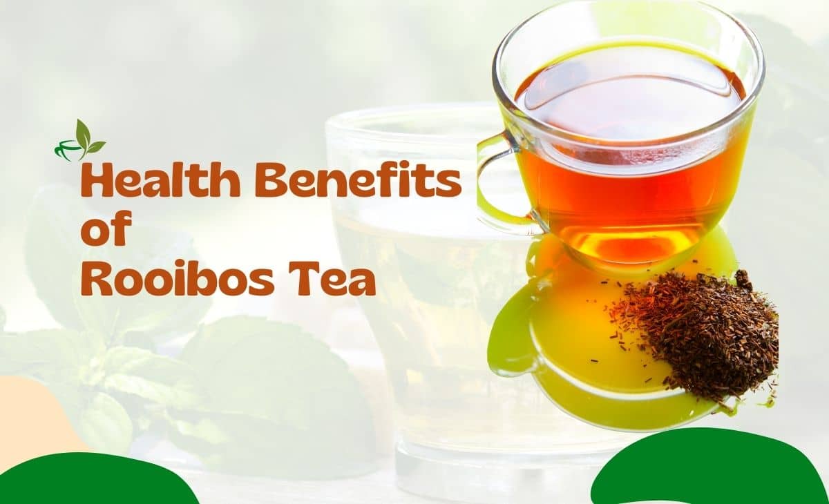 9 Health Benefits of Rooibos Tea (Plus Side Effects) Resurchify