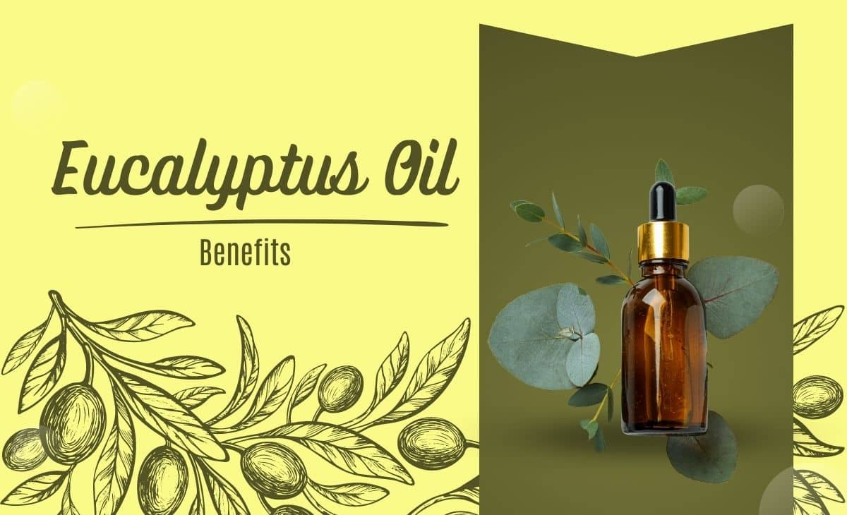 10 Amazing Eucalyptus Oil Benefits You Need to Know Resurchify